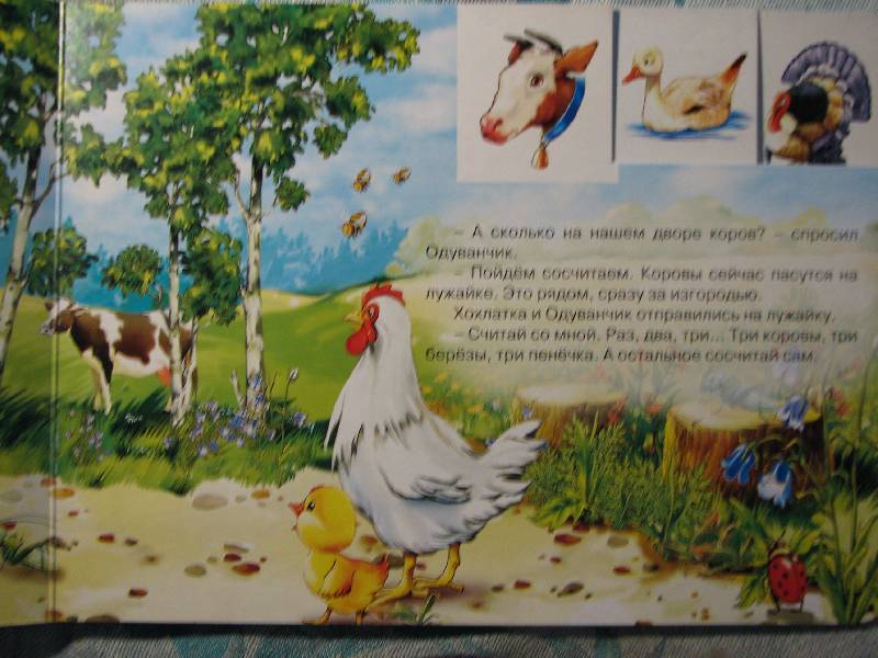 Иллюстрация 5 из 6 для Цыпленок учится считать - Виктор Лясковский | Лабиринт - книги. Источник: Данилова  Наталия