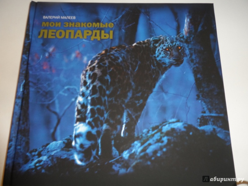 Иллюстрация 4 из 39 для Мои знакомые леопарды - Валерий Малеев | Лабиринт - книги. Источник: Брежнева  Инга