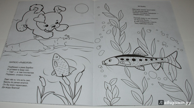 Иллюстрация 8 из 11 для Форелевая речка - Н. Красильников | Лабиринт - книги. Источник: Лабиринт