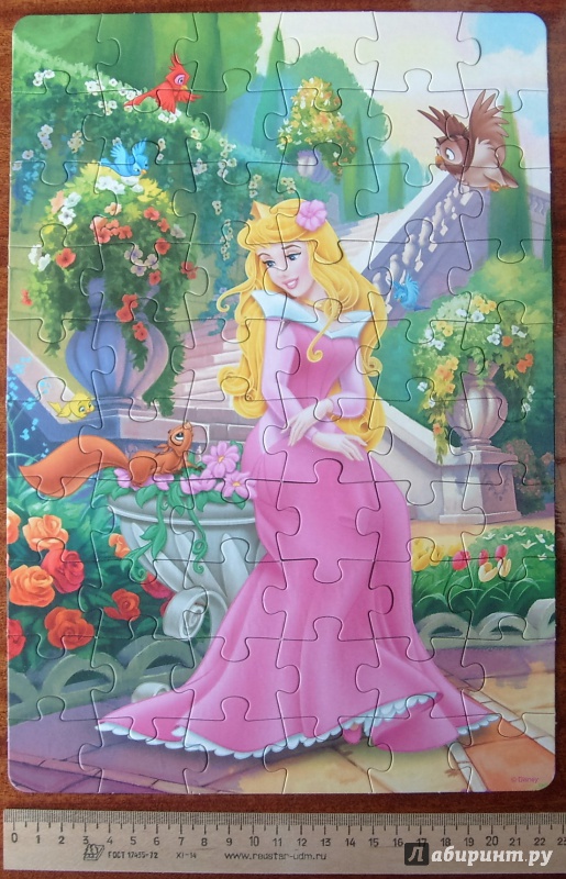 Иллюстрация 21 из 25 для Step Puzzle-60 "Disney. Спящая красавица" (81129) | Лабиринт - игрушки. Источник: Соловьев  Владимир
