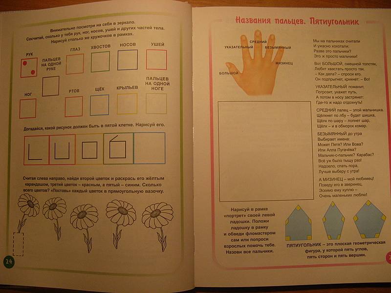 Иллюстрация 5 из 13 для Считарь. Для детей 3-6 лет - Ирина Иванова | Лабиринт - книги. Источник: NataliOk