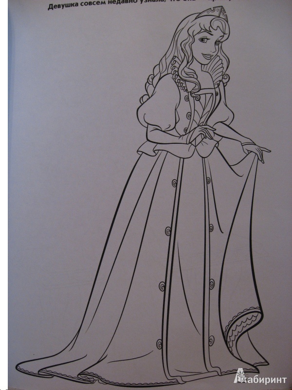Иллюстрация 11 из 27 для Волшебная раскраска. Принцессы (№13231) | Лабиринт - книги. Источник: B