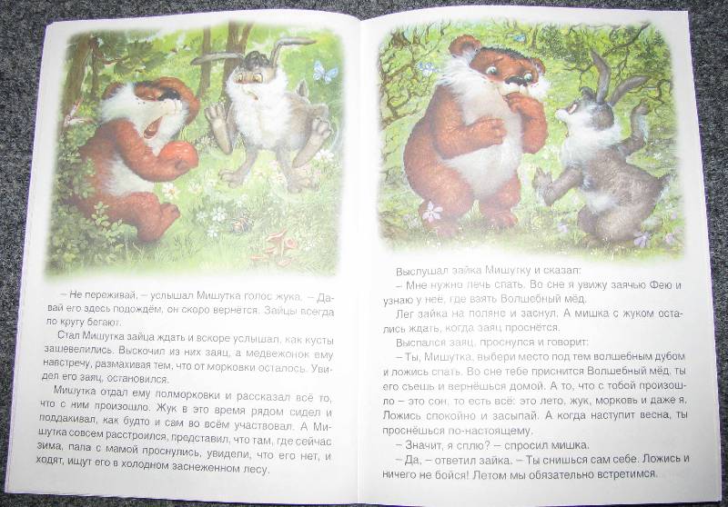 Иллюстрация 9 из 29 для Мишуткин сон - Виталий Лиходед | Лабиринт - книги. Источник: Апельсинка