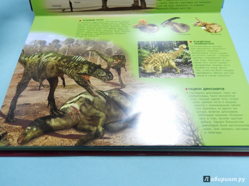 Иллюстрация 5 из 13 для Динозавры. 3D панорама - Барбара Тейлор | Лабиринт - книги. Источник: dbyyb