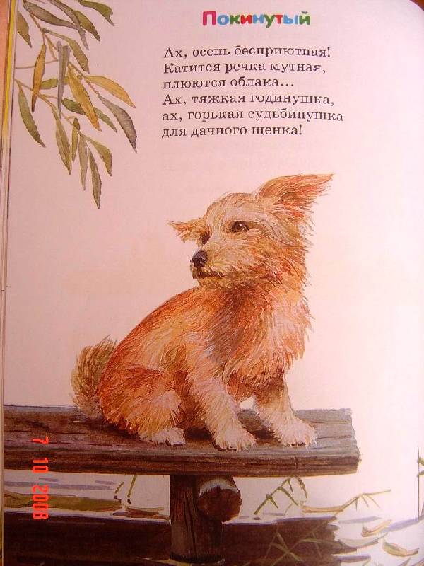 Иллюстрация 16 из 19 для Стихи про зверят | Лабиринт - книги. Источник: Анна К.