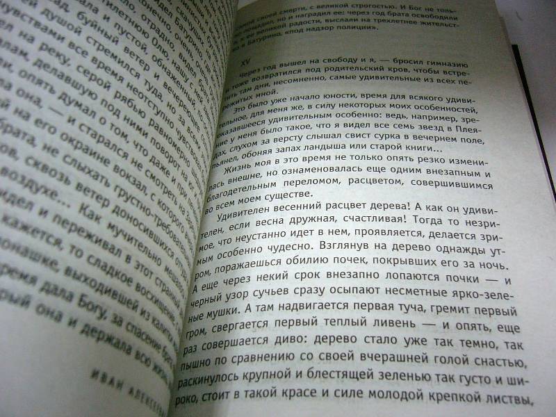 Иллюстрация 5 из 6 для Жизнь Арсеньева - Иван Бунин | Лабиринт - книги. Источник: Nika