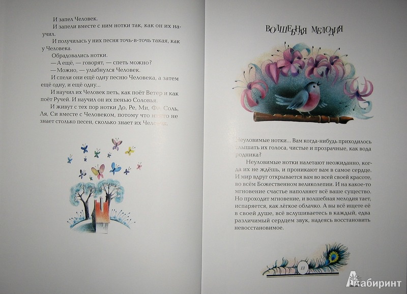 Иллюстрация 27 из 70 для Волшебная мелодия - Виктор Лунин | Лабиринт - книги. Источник: Трухина Ирина