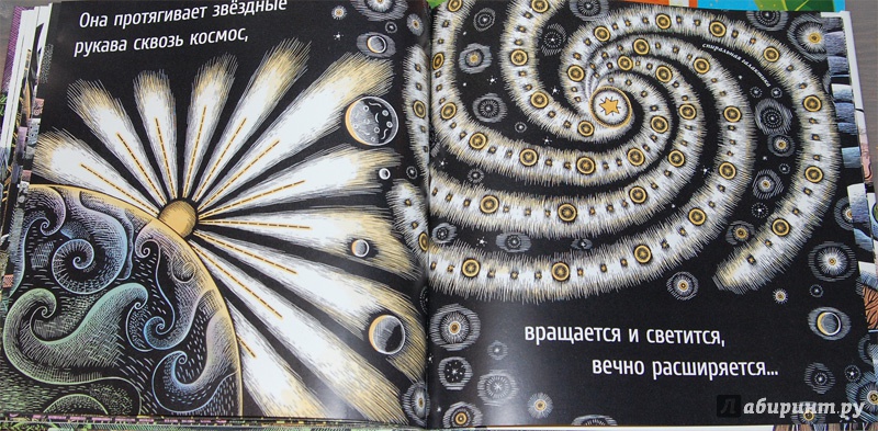 Иллюстрация 31 из 65 для Живые спирали - Джойс Сидман | Лабиринт - книги. Источник: mangust