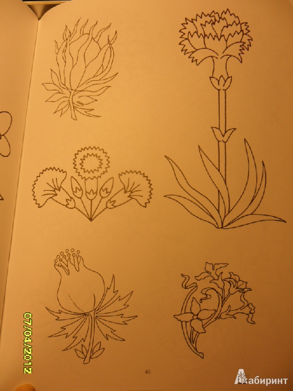 Иллюстрация 10 из 10 для Цветы, вышитые гладью: 65 изысканных мотивов | Лабиринт - книги. Источник: Ankosik