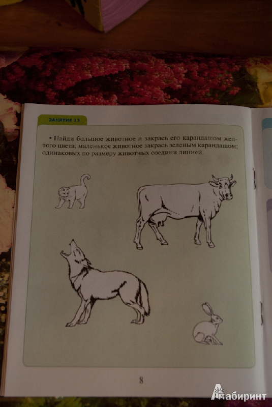 Иллюстрация 7 из 11 для Тетрадь по математике для детского сада | Лабиринт - книги. Источник: Браун  Владимир Владимирович