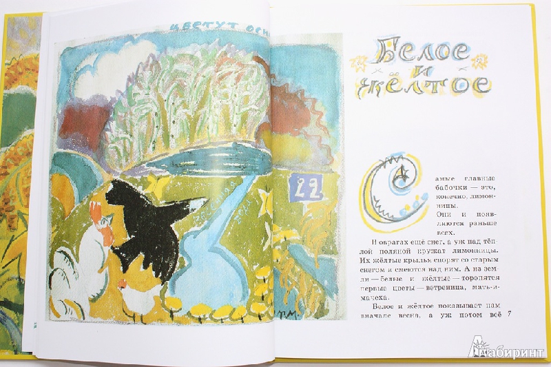 Иллюстрация 7 из 73 для Бабочки - Юрий Коваль | Лабиринт - книги. Источник: Букландия