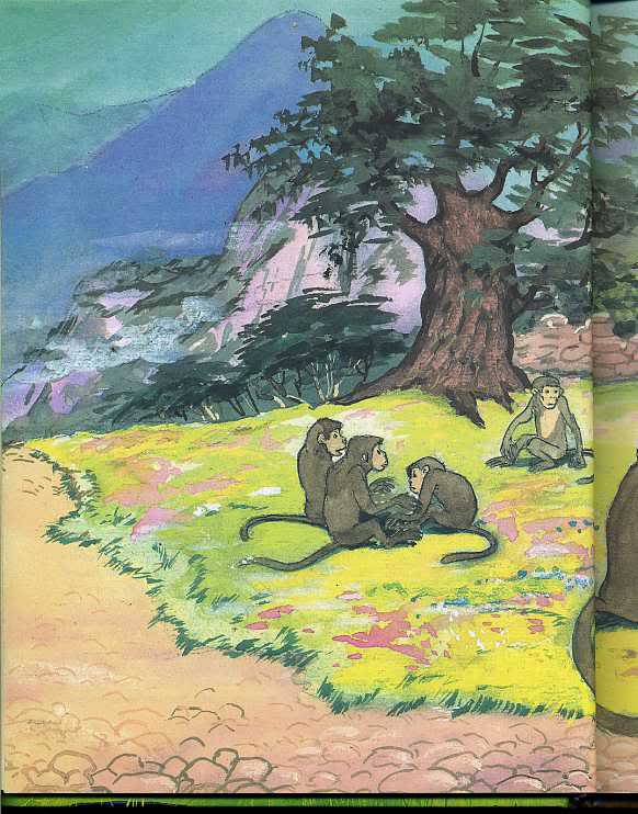 Иллюстрация 13 из 15 для Маугли - Редьярд Киплинг | Лабиринт - книги. Источник: Змей Горыныч