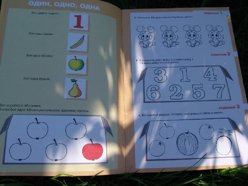 Иллюстрация 4 из 8 для Раз, два, три, четыре, пять. Для детей 2-4 лет - Ксения Крот | Лабиринт - книги. Источник: Лаванда