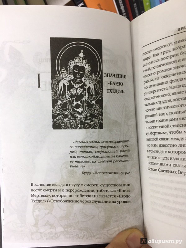 Иллюстрация 18 из 41 для Бардо Тхёдол. Тибетская книга мертвых | Лабиринт - книги. Источник: Lina