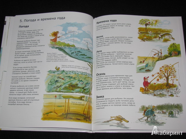 Иллюстрация 57 из 60 для Книга для начинающих великих рыболовов - Нурдквист, Вернер-Карлссон | Лабиринт - книги. Источник: Nemertona