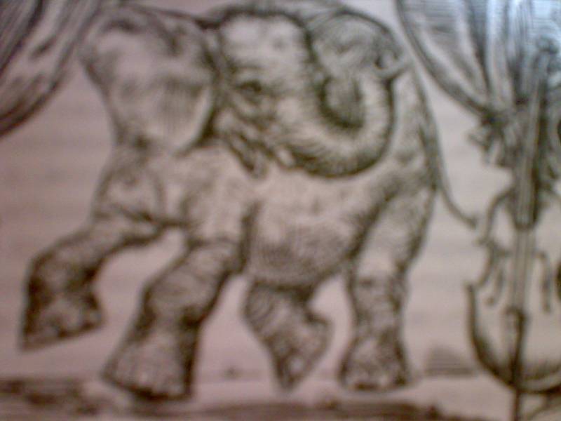 Иллюстрация 5 из 7 для Хозяева джунглей: Рассказы о тиграх и слонах | Лабиринт - книги. Источник: Юлия7