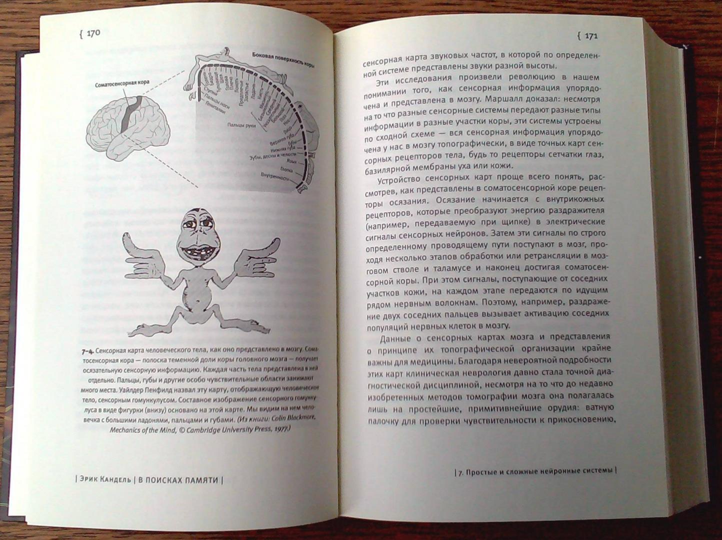 Иллюстрация 7 из 24 для В поисках памяти. Возникновение новой науки о человеческой психике - Эрик Кандель | Лабиринт - книги. Источник: Лабиринт