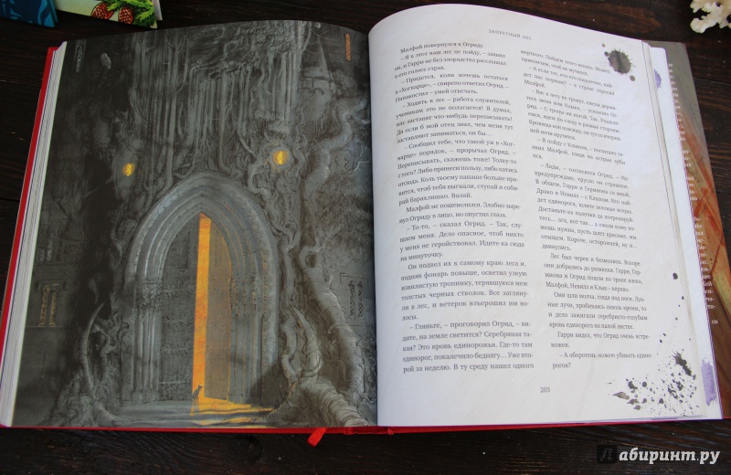 Иллюстрация 74 из 127 для Гарри Поттер и Философский камень (с цветными иллюстрациями) - Джоан Роулинг | Лабиринт - книги. Источник: destiny-312