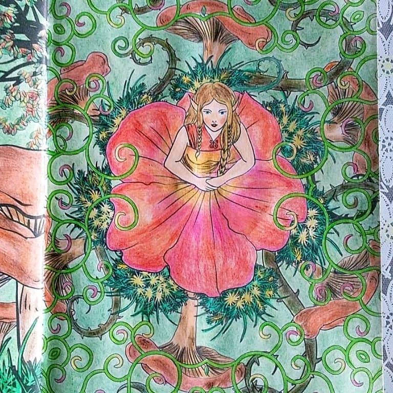 Иллюстрация 52 из 60 для Загадочный лес. Мини-раскраска-антистресс для творчества и вдохновения | Лабиринт - книги. Источник: Лабиринт
