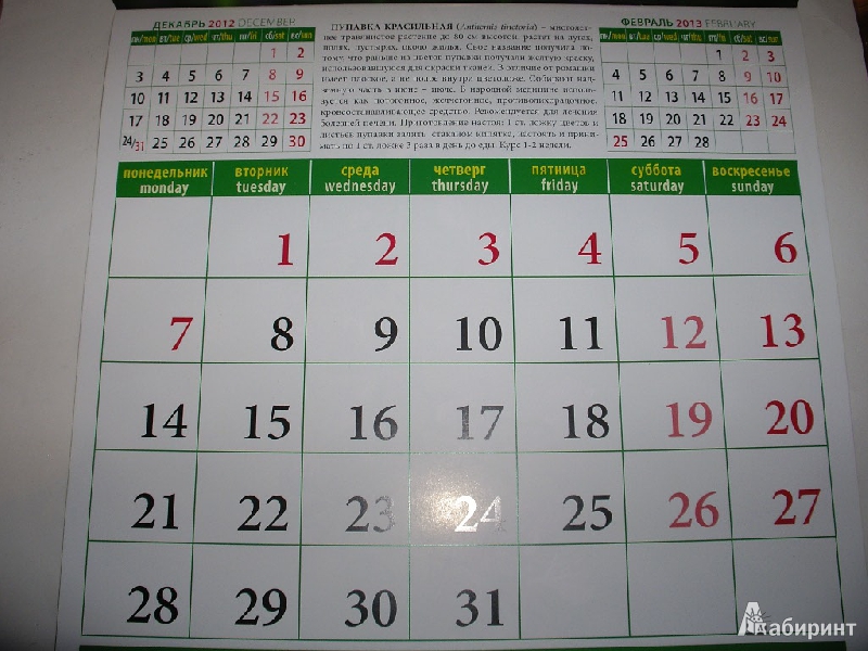 Иллюстрация 2 из 9 для Календарь 2013 "Календарь здоровья" (70318) | Лабиринт - сувениры. Источник: Tiger.