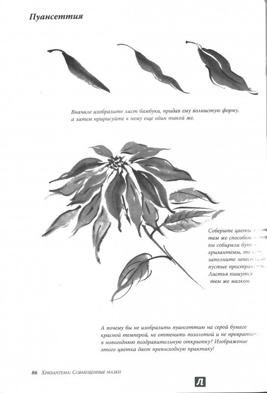 Иллюстрация 12 из 25 для Техника японской живописи суми-ё - Иоланда Мэйхолл | Лабиринт - книги. Источник: Дмитриева  Татьяна Юрьевна