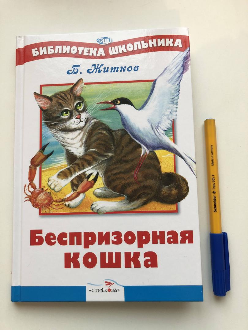 Иллюстрация 16 из 29 для Беспризорная кошка - Борис Житков | Лабиринт - книги. Источник: Vladlena