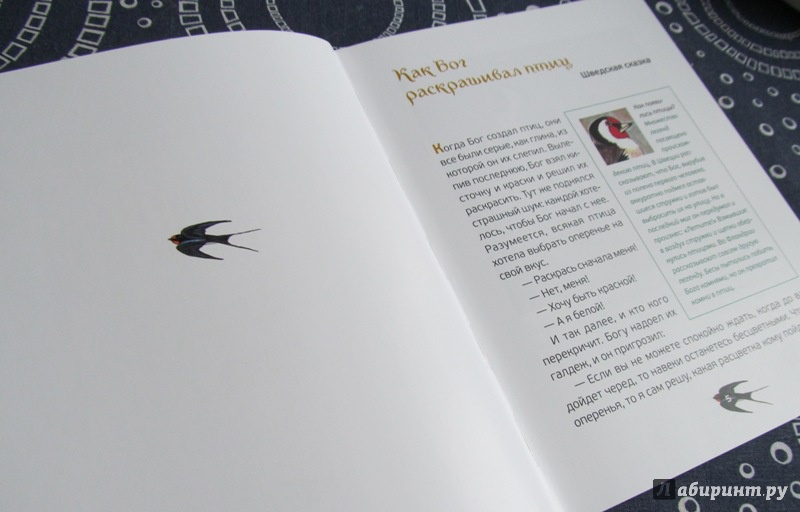 Иллюстрация 4 из 31 для Птичьи сказки - Елена Бальзамо | Лабиринт - книги. Источник: Вещие сны