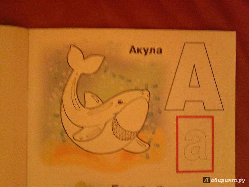 Иллюстрация 4 из 13 для Азбука с наклейками "Такие разные животные" | Лабиринт - книги. Источник: Луганская  Aнна
