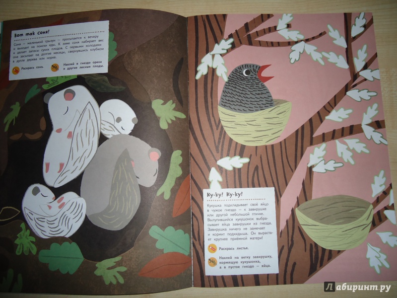 Иллюстрация 27 из 37 для Лесные жители - Оливия Косно | Лабиринт - книги. Источник: Кот_А
