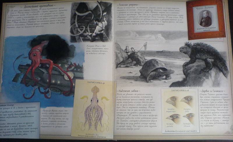 Иллюстрация 15 из 19 для Океанология | Лабиринт - книги. Источник: АИГ
