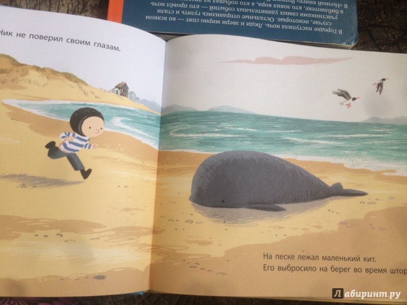 Иллюстрация 63 из 71 для День, когда я встретил кита - Бенджи Дэвис | Лабиринт - книги. Источник: wonna `be