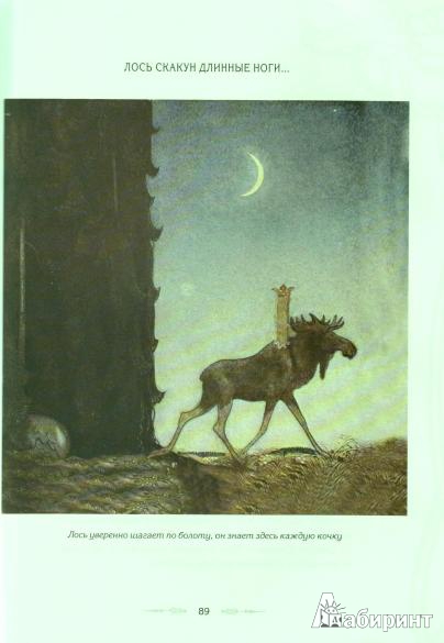 Иллюстрация 8 из 38 для Волшебные сказки Швеции | Лабиринт - книги. Источник: Низамутдинова  Олия