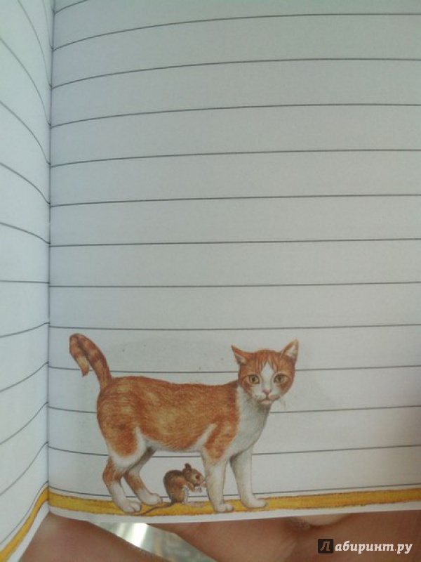 Иллюстрация 29 из 34 для Блокнот. Кошки А6 | Лабиринт - канцтовы. Источник: Кутафина  Мария