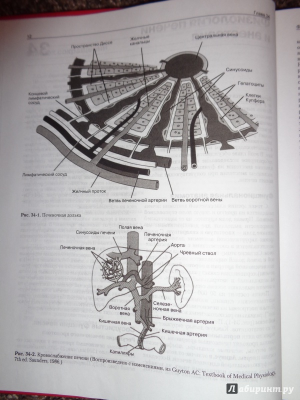 Иллюстрация 7 из 9 для Клиническая анестезиология. Книга 3 - Морган, Марри, Михаил | Лабиринт - книги. Источник: Лабиринт