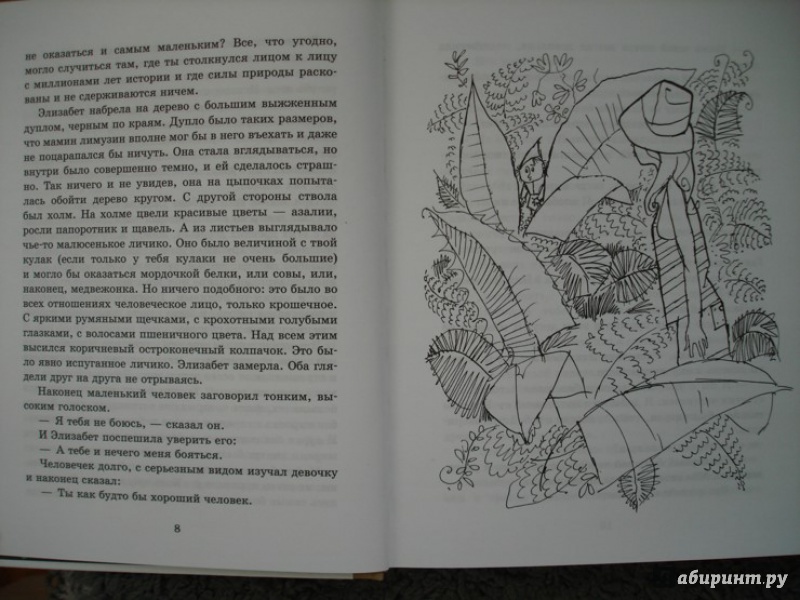 Иллюстрация 6 из 20 для Гномобиль - Эптон Синклер | Лабиринт - книги. Источник: Сорокина  Лариса