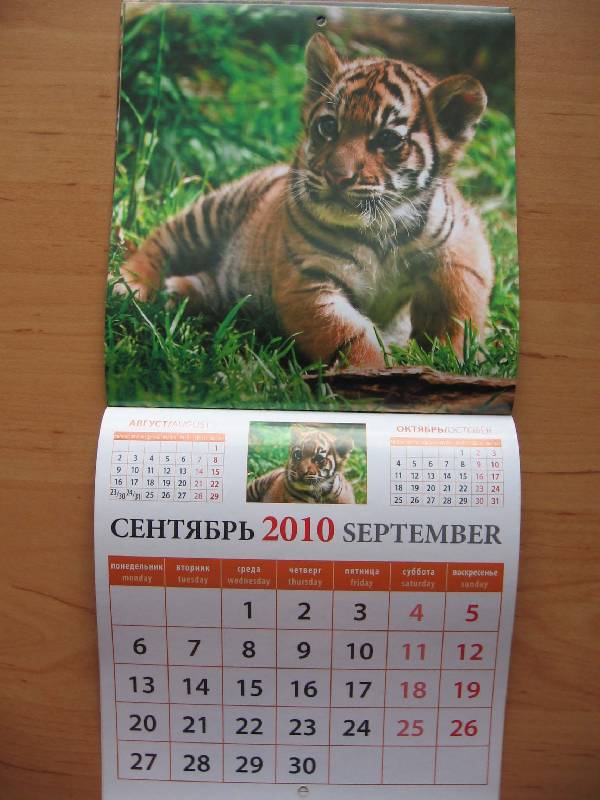 Иллюстрация 4 из 5 для Календарь. 2010 год. Забавные тигрята (30907) | Лабиринт - сувениры. Источник: Red cat ;)