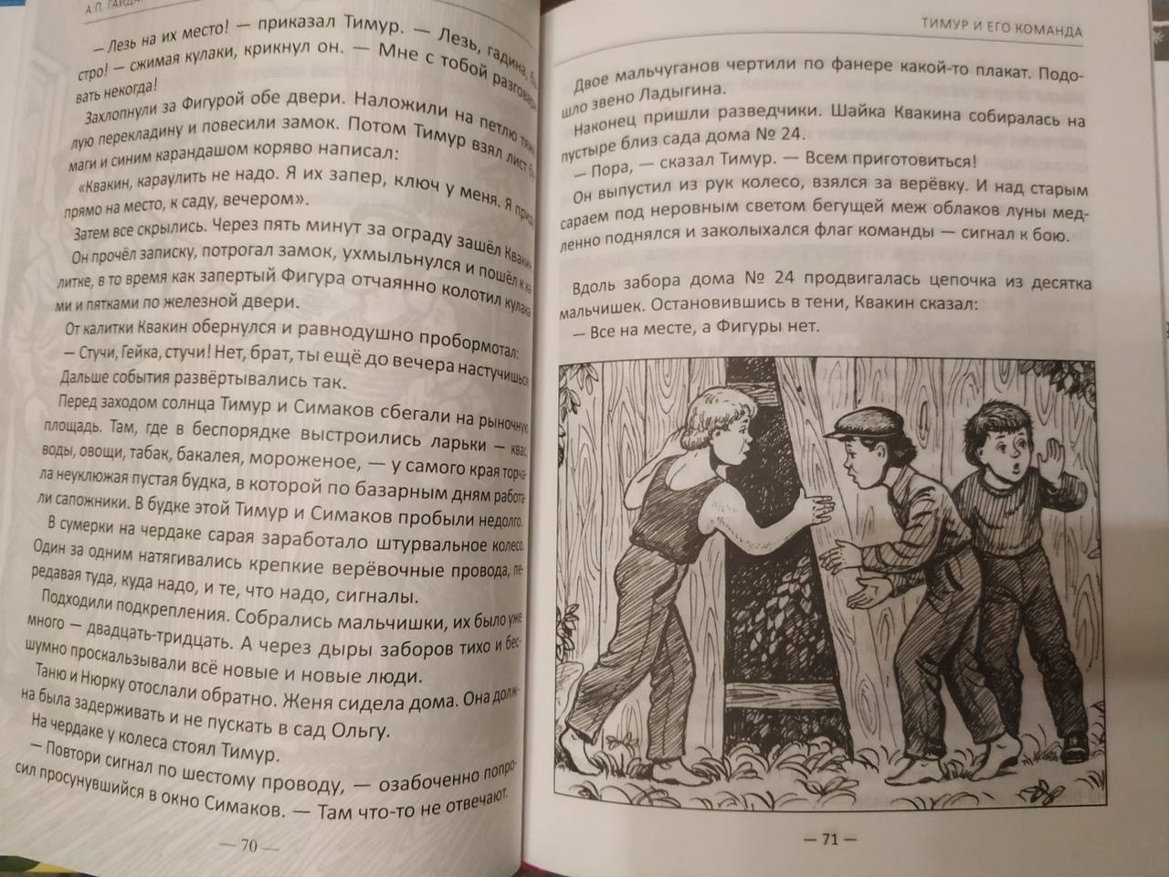 Иллюстрация 59 из 60 для Тимур и его команда - Аркадий Гайдар | Лабиринт - книги. Источник: Татьяна Смирнова