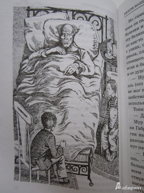 Иллюстрация 36 из 46 для Вихри волшебства - Диана Джонс | Лабиринт - книги. Источник: dragonspy