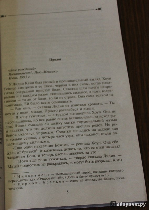 Иллюстрация 2 из 15 для Убежище - Бренда Новак | Лабиринт - книги. Источник: Полецкая  Яна