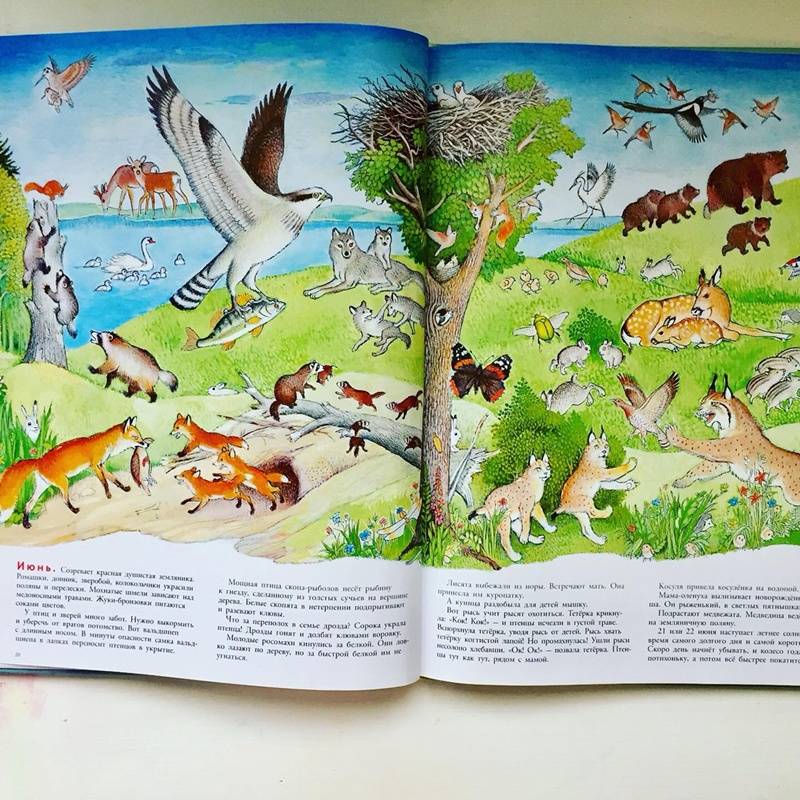 Иллюстрация 99 из 109 для В лесу - Петр Багин | Лабиринт - книги. Источник: Янцевич  Валерия