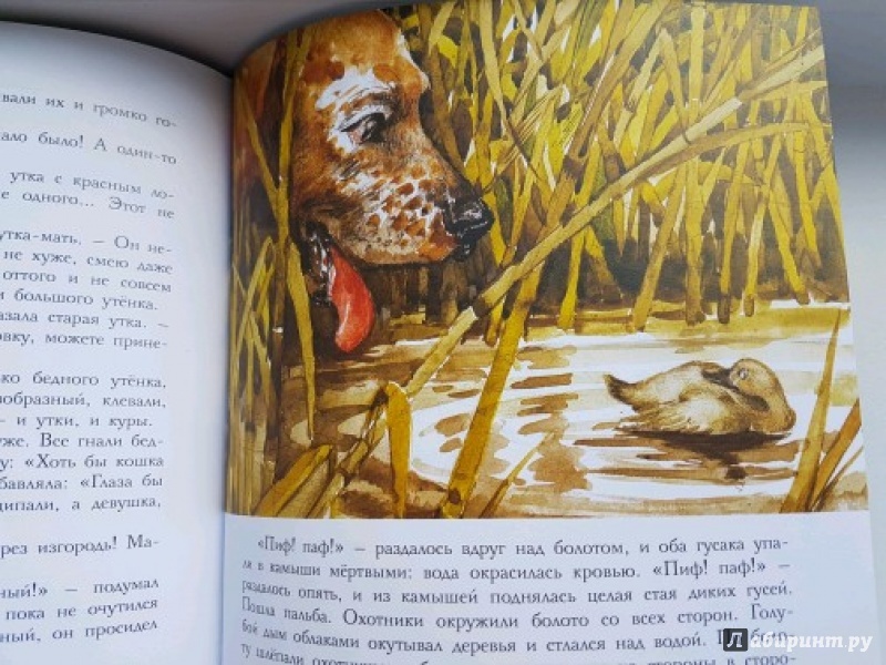 Иллюстрация 41 из 95 для Сказки - Ханс Андерсен | Лабиринт - книги. Источник: Бессольцева Татьяна