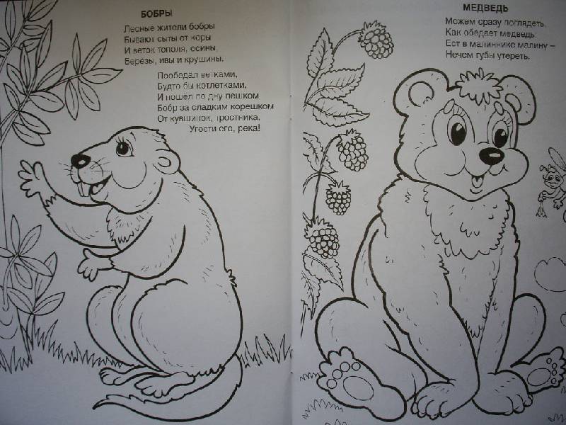 Иллюстрация 5 из 19 для Кто обедает в лесу - Юрий Чичев | Лабиринт - книги. Источник: Tiger.