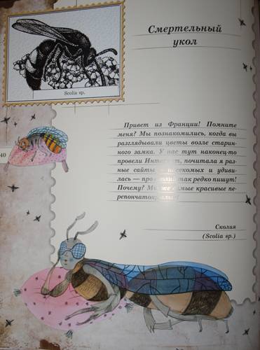 Иллюстрация 36 из 103 для Письма насекомых - Ольга Кувыкина | Лабиринт - книги. Источник: Наталья Бухтиярова
