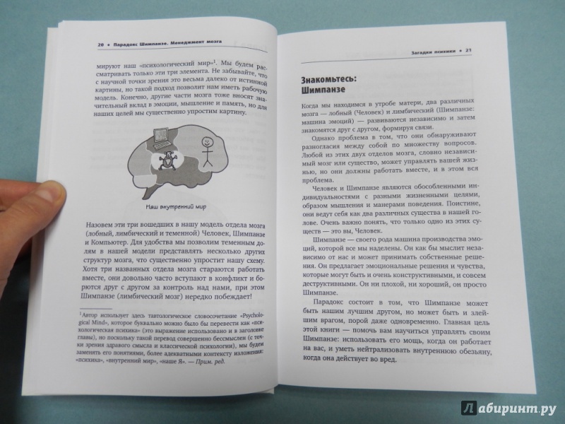 Иллюстрация 6 из 8 для Парадокс Шимпанзе. Менеджмент мозга - Стив Питерс | Лабиринт - книги. Источник: dbyyb