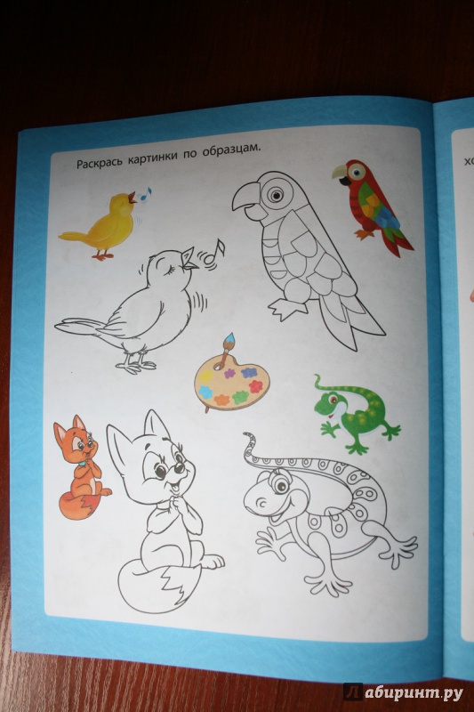 Иллюстрация 10 из 16 для Любознательным малышам. Цвет и форма - Евгения Ищук | Лабиринт - книги. Источник: Рудис  Александра