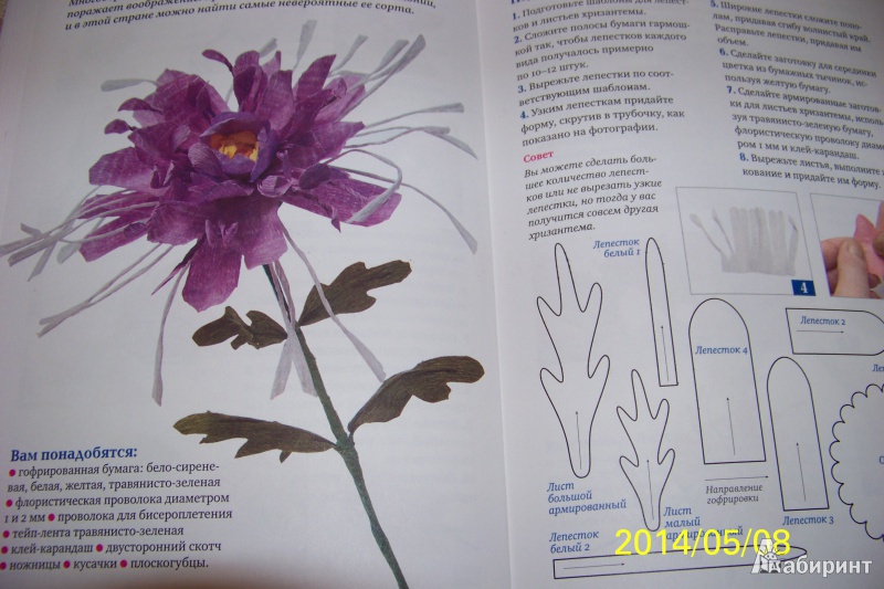 Иллюстрация 7 из 14 для Цветы из гофрированной бумаги: мастер-классы дляначинающих - Анна Зайцева