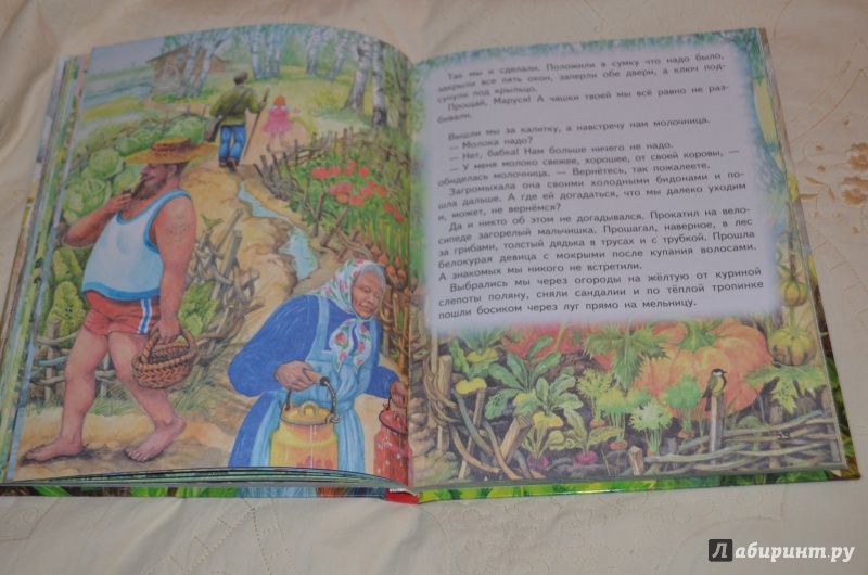 Иллюстрация 22 из 34 для Рассказы и сказки - Аркадий Гайдар | Лабиринт - книги. Источник: Deva*Ira