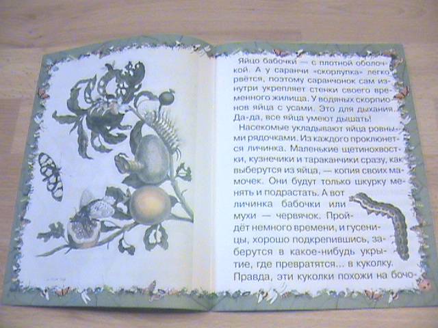 Иллюстрация 7 из 10 для Насекомые - Ольга Колпакова | Лабиринт - книги. Источник: Ната Ф.