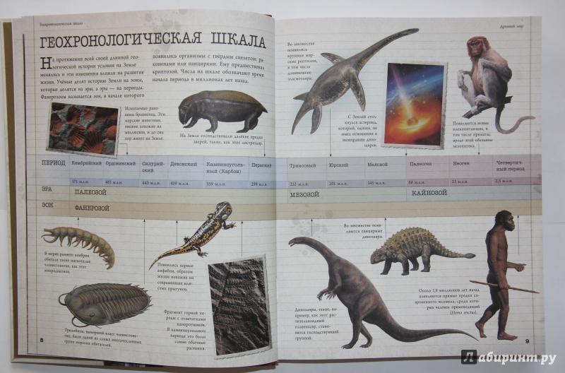 Иллюстрация 12 из 21 для Динозавры и другие доисторические животные. Детская энциклопедия | Лабиринт - книги. Источник: SvetlanaS