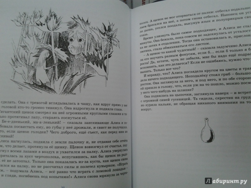 Иллюстрация 28 из 46 для Алиса в стране чудес - Льюис Кэрролл | Лабиринт - книги. Источник: Olga
